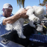 
              Steve Gibson loads a dog into the back of his pickup truck after it was rescued along with it's owners from Sanibel Island Saturday, Oct. 1, 2022, in Fort Myers, Fla. (AP Photo/Steve Helber)
            