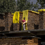 
              Mudasir Ahmed, a Kashmiri worker carries willow clefts used to make cricket bats as he walks past pile clefts stacked up for seasoning at a factory in Awantipora, south of Srinagar, Indian controlled Kashmir, Sept. 22, 2022. Kashmir’s dwindling willow plantations are impacting the region’s famed cricket bat industry and risking the supply of cricket bats in India, where the sport is hugely followed. The industry employs more than 10,000 people and manufactures nearly a million bats a year. (AP Photo/Dar Yasin)
            