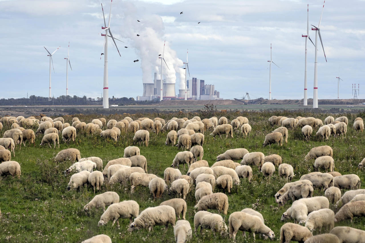 FILE - A flock of sheep graze in front of a coal-fired power plant at the Garzweiler open-cast coal...
