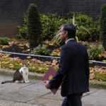 
              New British Prime Minister Rishi Sunak arrives as Larry the cat sits at Downing Street in London, Tuesday, Oct. 25, 2022, after returning from Buckingham Palace where he was formally appointed to the post by Britain's King Charles III. (AP Photo/Alberto Pezzali)
            