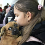 
              FILE - A girl, an evacuee from Kherson, holds her dog as she arrives at the railway station in Dzhankoi, Crimea, Nov. 2, 2022. Russia relinquished its final foothold in a major city in southern Ukraine on Friday Nov. 11, 2022, clearing the way for victorious Ukrainian forces to reclaim the country’s only Russian-held provincial capital that could act as a springboard for further advances into occupied territory. (AP Photo/File)
            
