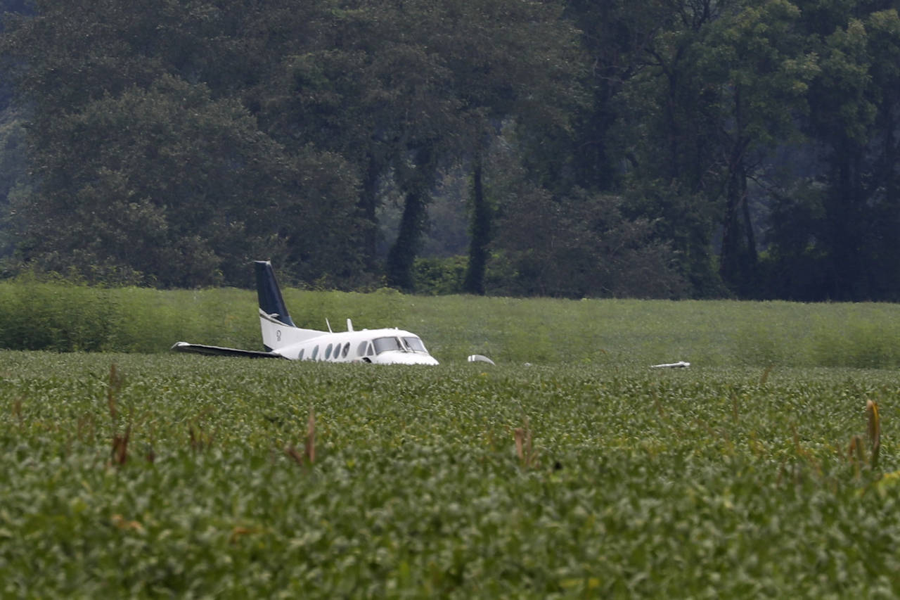 FILE - A stolen airplane rests in a field of soybeans after crash-landing near Ripley, Miss., on Se...