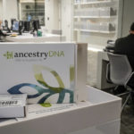 
              A genealogy testing kit for Ancestry/DNA is displayed in the Ackman and Ziff Family Genealogy Institute research area at the Center for Jewish History (CJH), Tuesday Nov. 29, 2022, in New York. CJH is launching a project offering the DNA testing kits for free to Holocaust survivors and their children to help increase the possibly of finding family connections torn apart in World War II. (AP Photo/Bebeto Matthews)
            