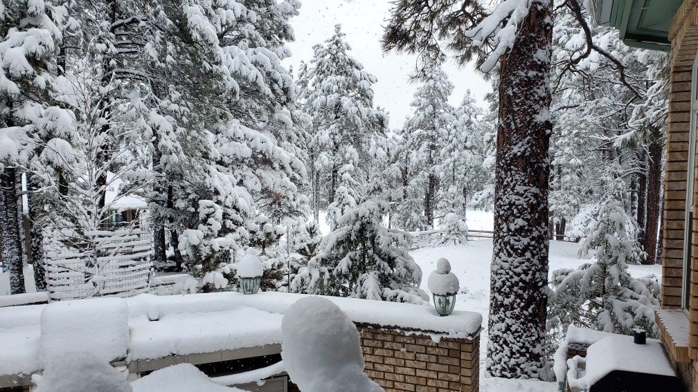 Rain sets new record in Phoenix, snow hits Arizona's high country