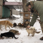 
              A Ukrainian servicemen of the Prince Roman the Great 14th Separate Mechanized Brigade feeds stray cats next to a makeshift shelter they built for them, in the Kharkiv area, Ukraine, Saturday, Feb. 25, 2023. (AP Photo/Vadim Ghirda)
            
