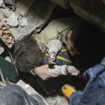 
              A man pulls out a young girl from the debris of collapsed buildings in Hatay, southern Turkey, Thursday, Feb. 9, 2023. Emergency crews made a series of dramatic rescues in Turkey on Friday, pulling several people, some almost unscathed, from the rubble, four days after a catastrophic earthquake killed more than 20,000. (AP Photo/Can Ozer)
            