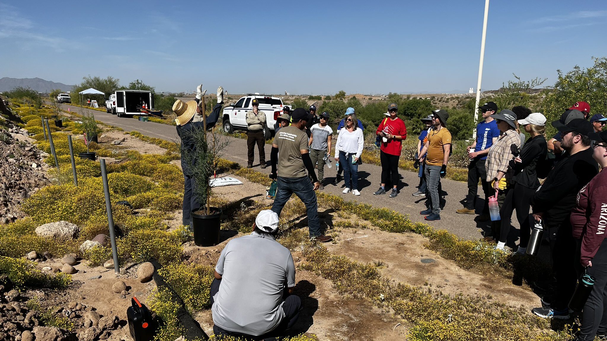 Arizona urban forestry program receives $6 million to increase tree canopy