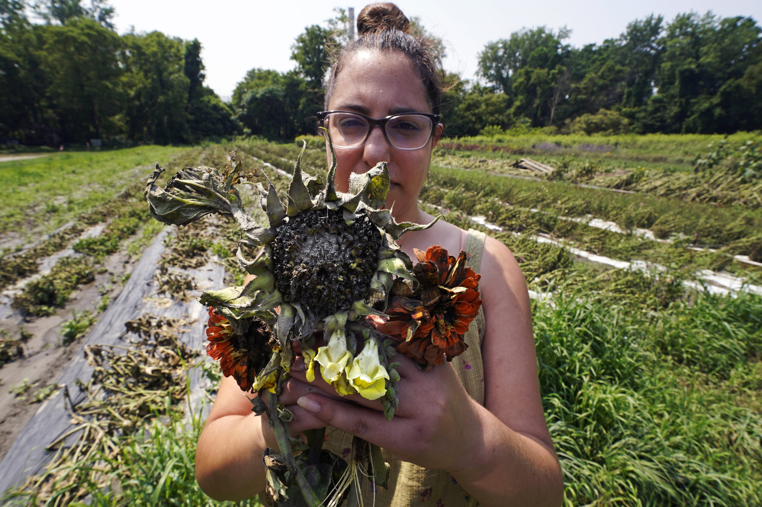 Melanie Guild, development director of Intervale Community Farm, holds a bouquet of mud covered flo...
