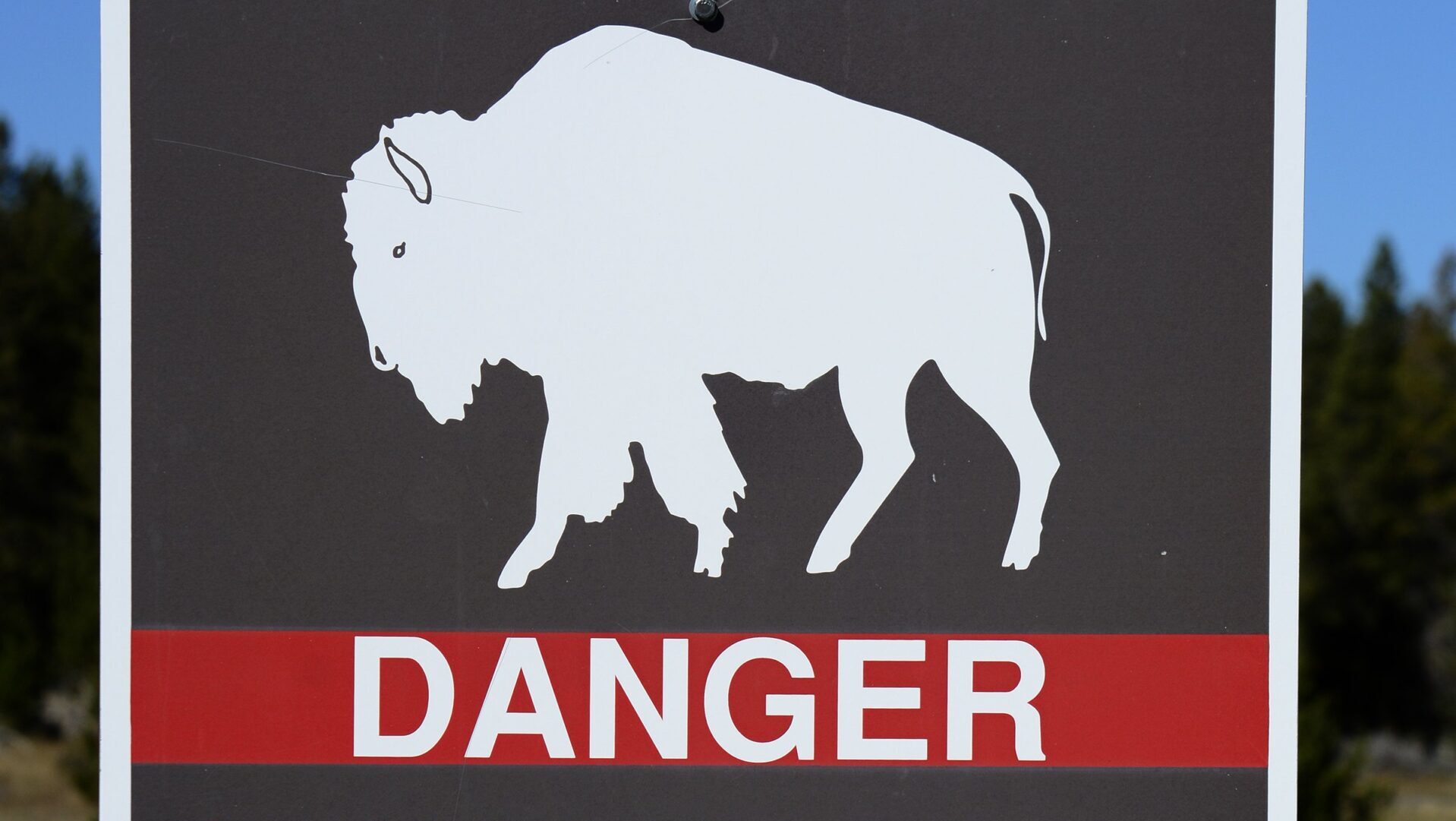 Yellowstone wildlife danger sign...