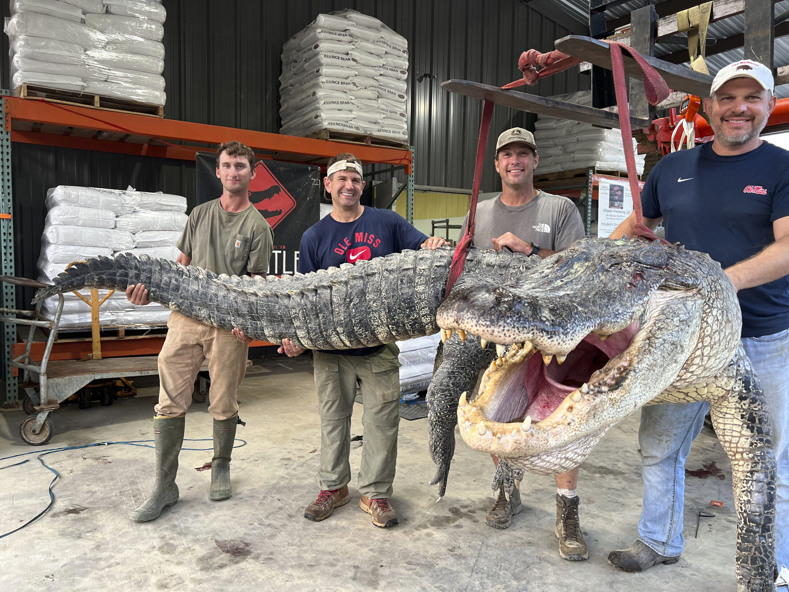 This photo provided by Red Antler Processing shows the alligator sport hunting team made up of, fro...