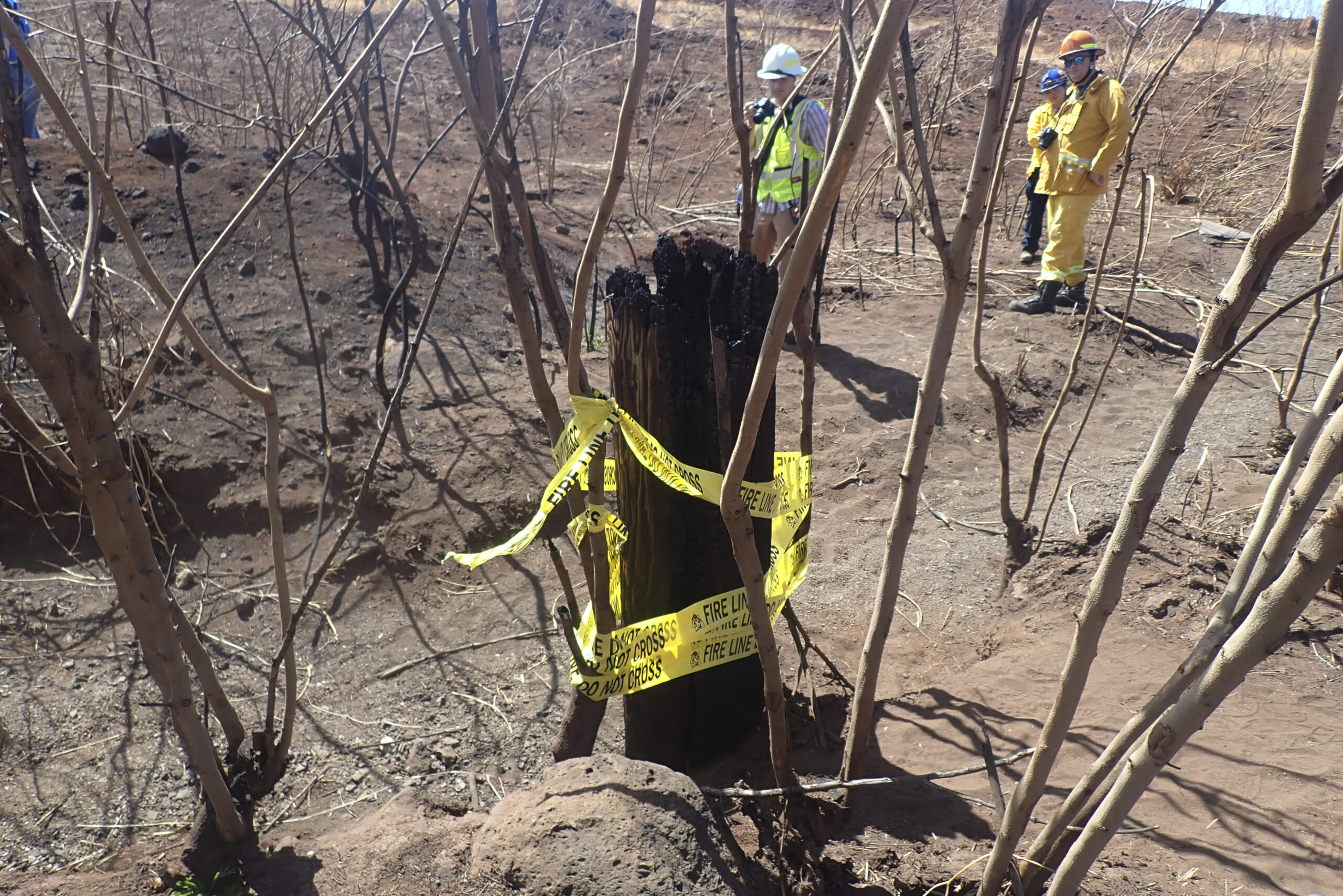 This photo provided by the Morgan & Morgan law firm shows a charred Hawaiian Electric utility pole ...