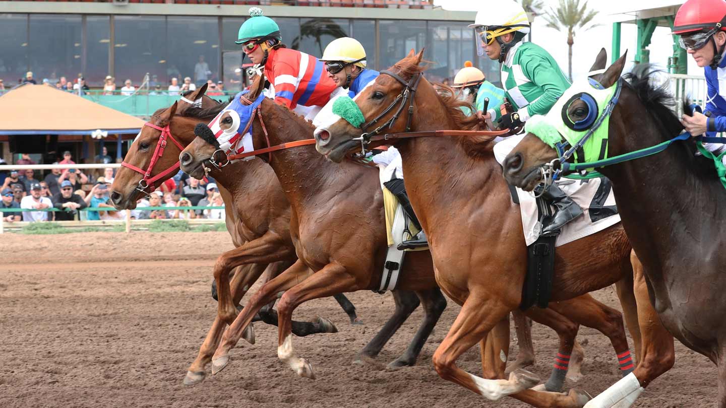 Turf Paradise has reached a deal to continue Off Track Betting operations and is planning a new liv...