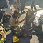 Several pets were given oxygen after being removed from a smoke-filled home in Phoenix, Arizona, on Tuesday, Nov. 14, 2023.