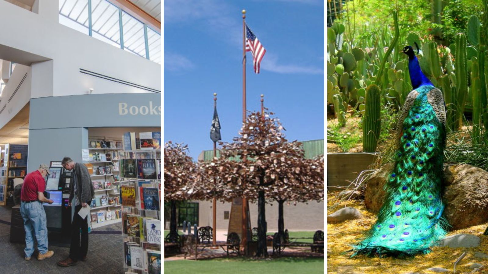 Glendale Public Library eliminates overdue fines...