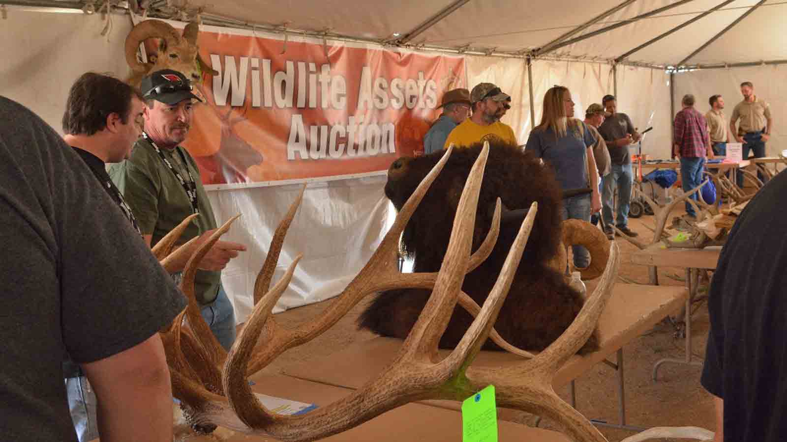Annual wildlife outdoor expo returns north of Phoenix this weekend
