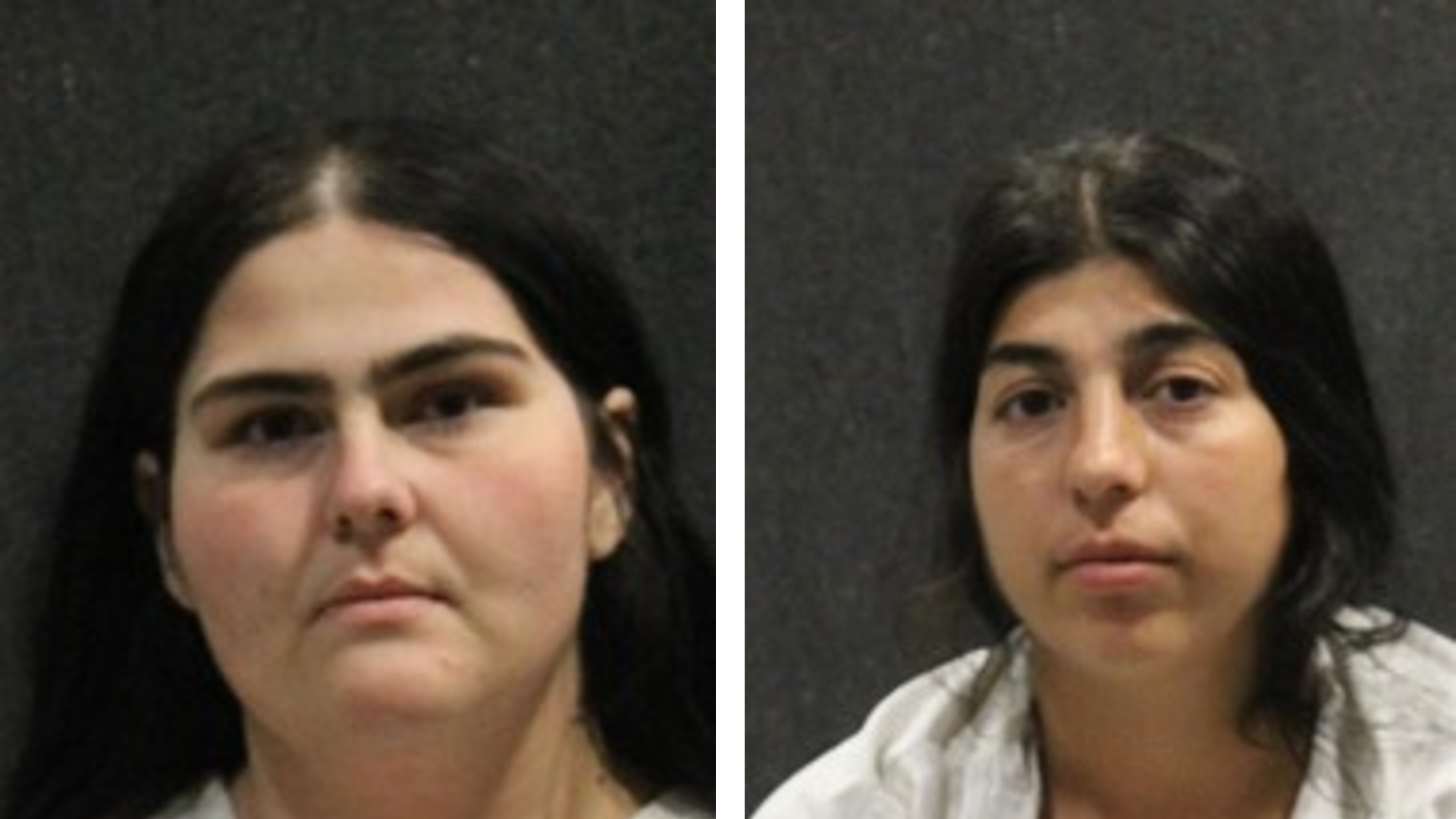 Franchesca Traila (left) and Dorinta Velcu (right) arrested for organized retail theft....