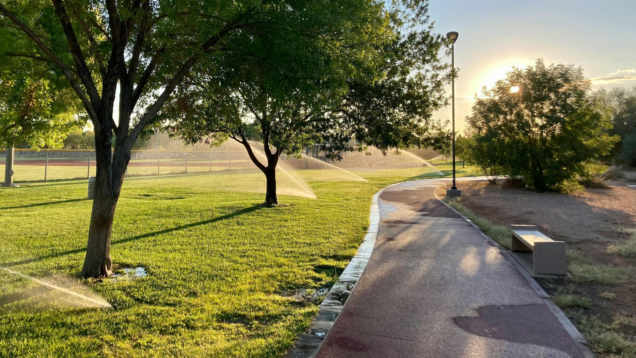 Peoria replaces lawns with desert landscapes to save water