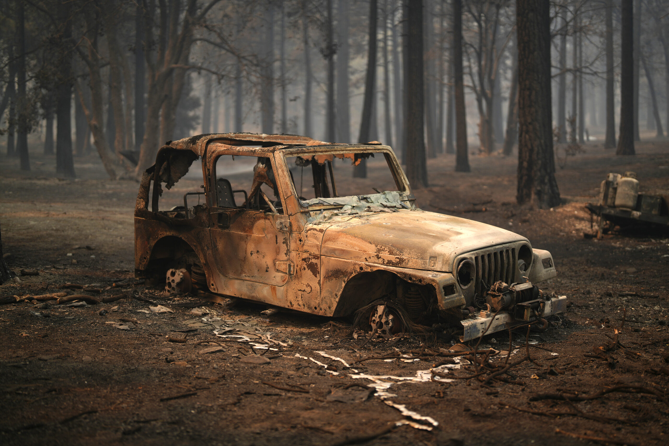 A vehicle and surrounding forest are burned after the Bridge Fire swept through Wednesday, Sept. 11...