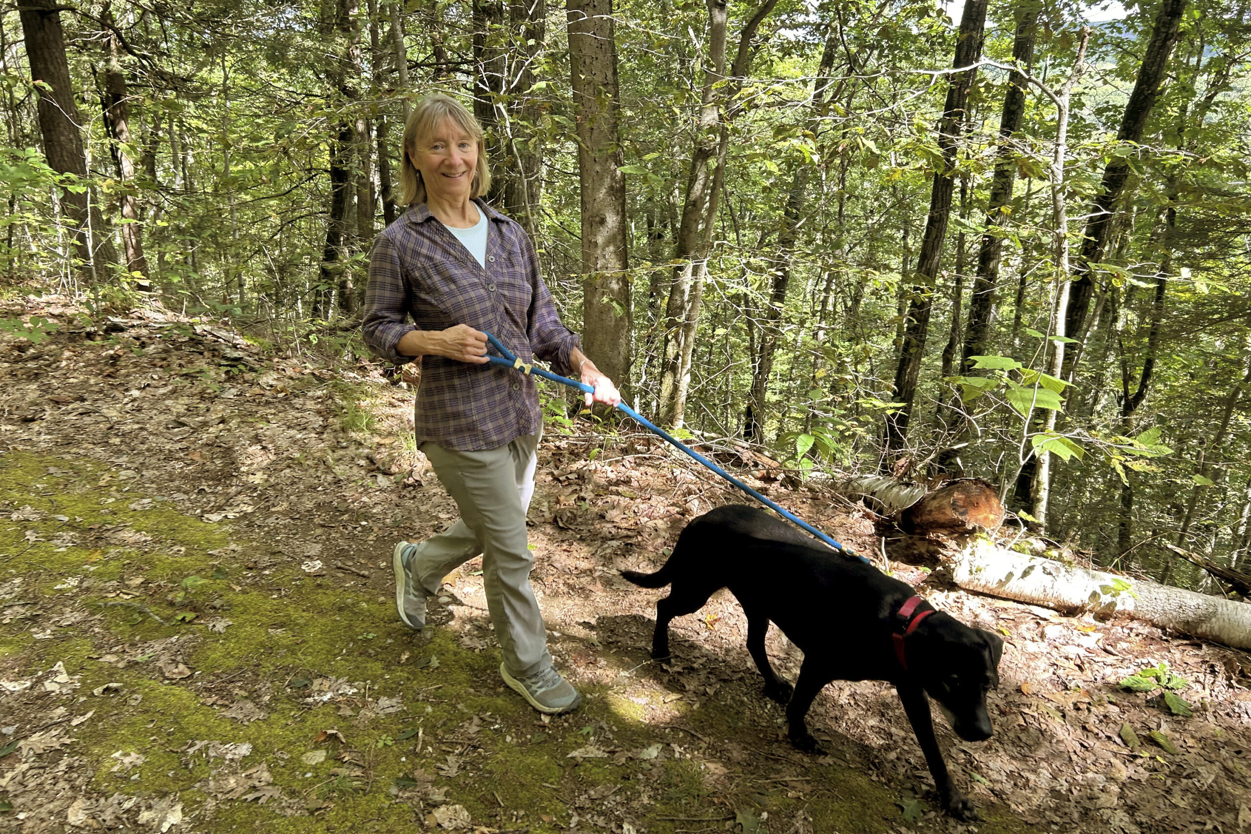 Susannah Johnston, of Croton-on-Hudson, N.Y., walks her dog Ellie on Sept. 8, 2024 in Norfolk, Conn...