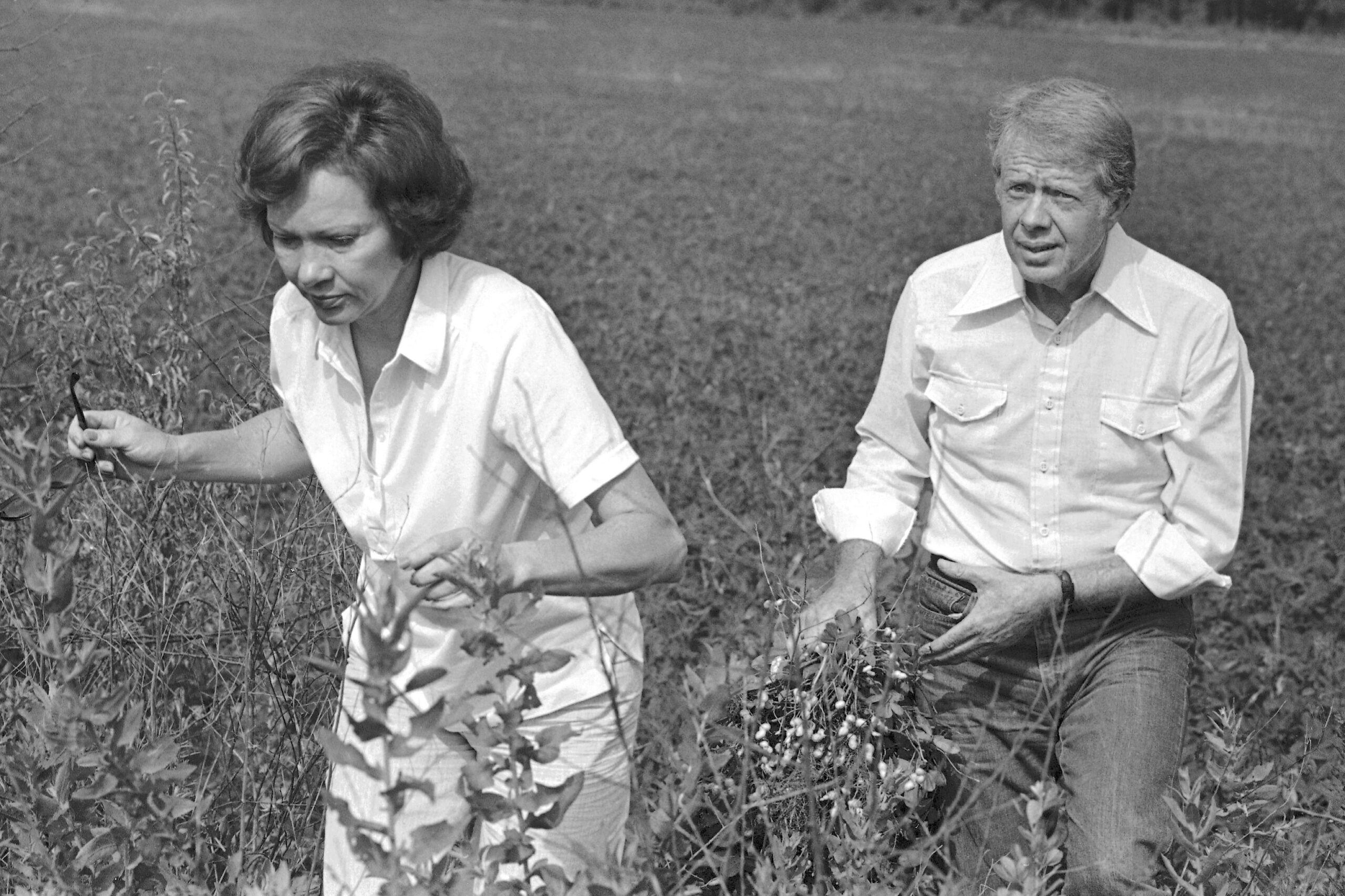 FILE - President Jimmy Carter carries a peanut plant as he follows his wife Rosalynn from the field...