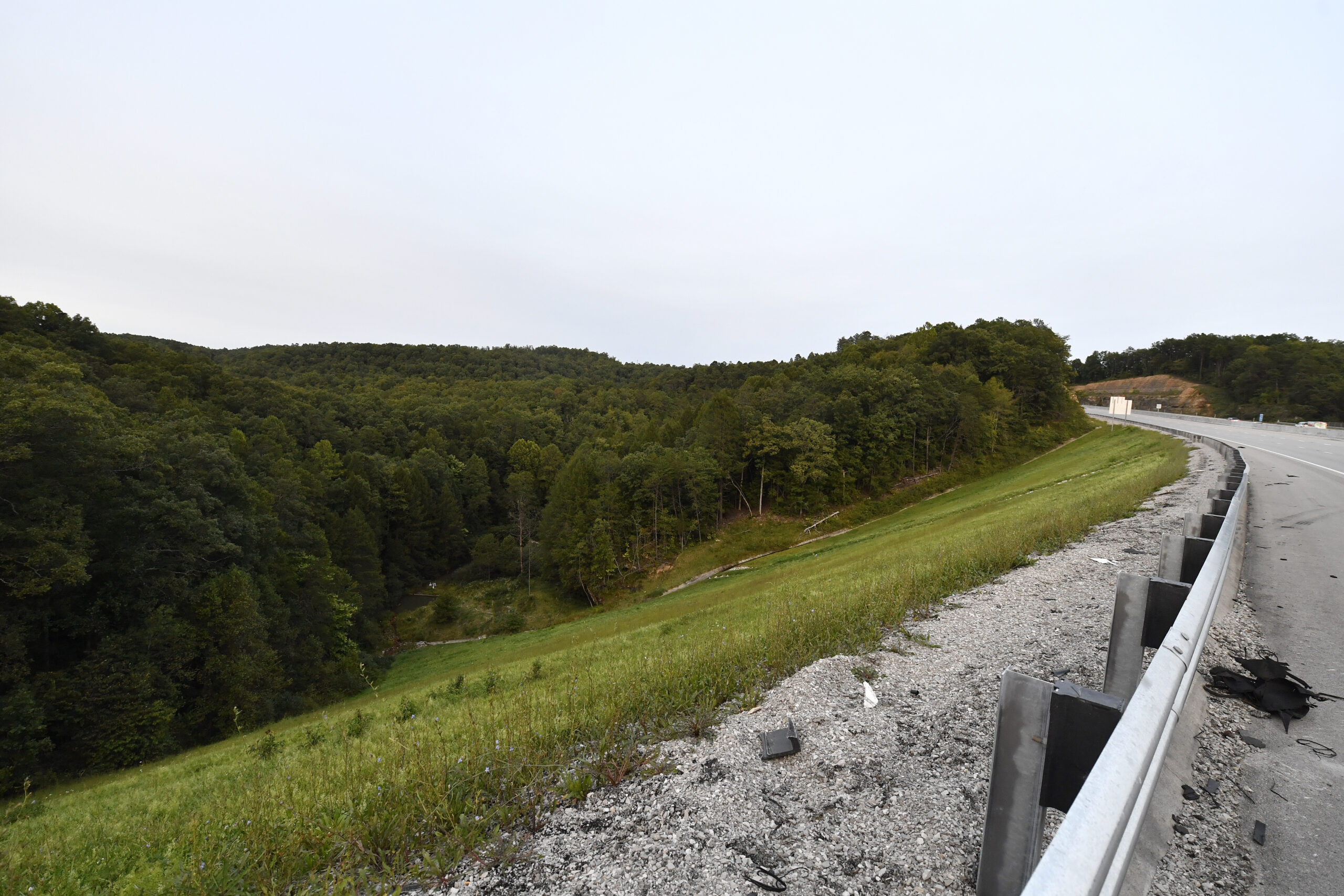 FILE - Trees stand in wooded areas alongside Interstate 75 near Livingston, Ky., Sunday, Sept. 8, 2...