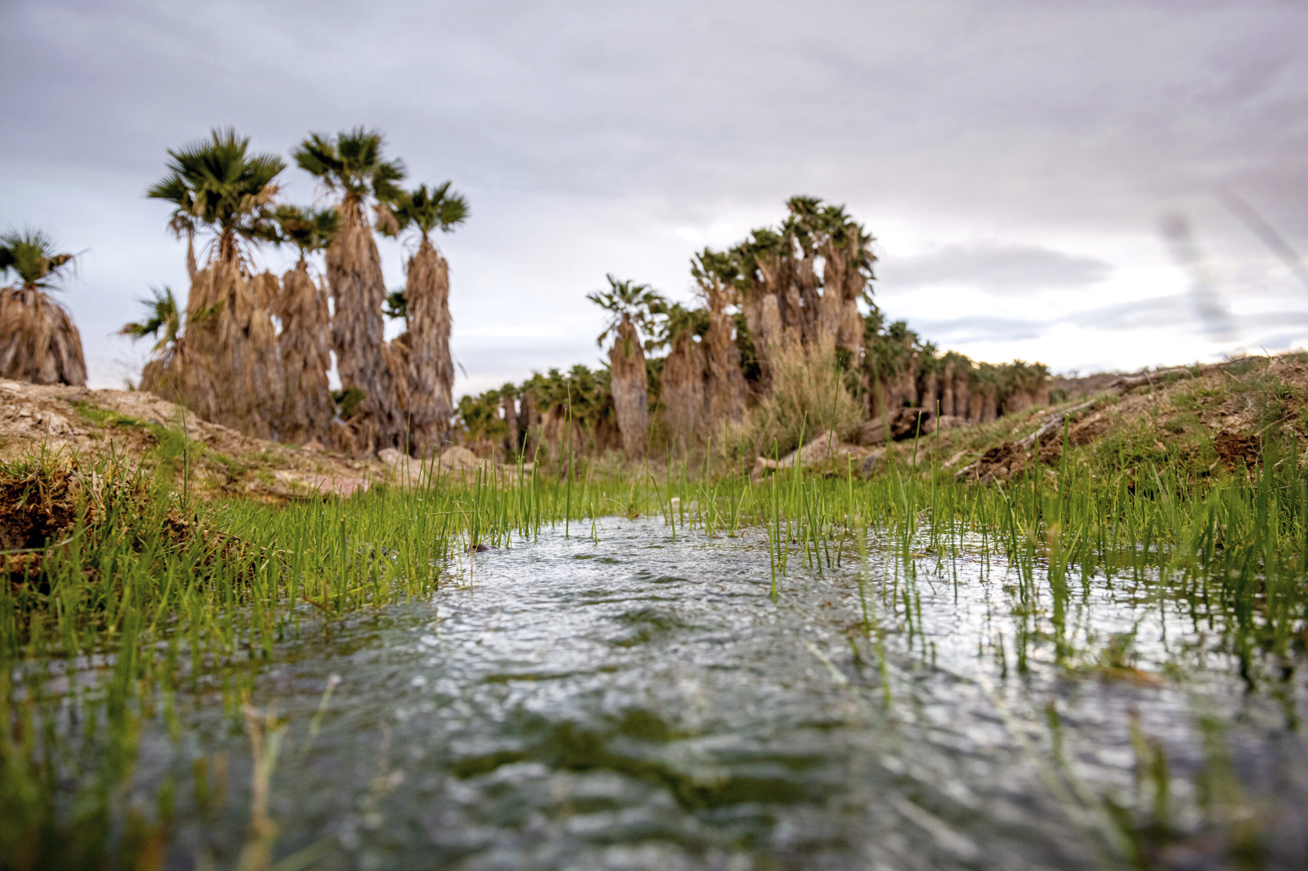 FILE - This photo provided by the environmental group Earthjustice shows Ha'Kamwe', a sacred spring...