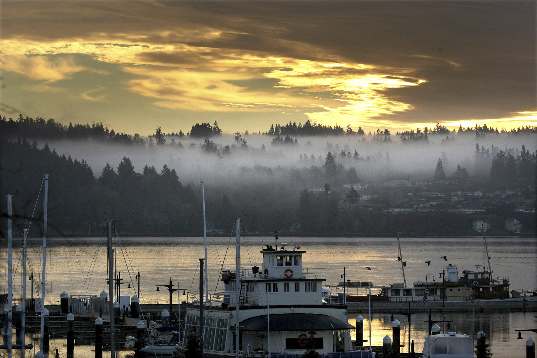 FILE - Low clouds hover in the trees in Port Orchard seen from the Bremerton Harborside Marina in B...