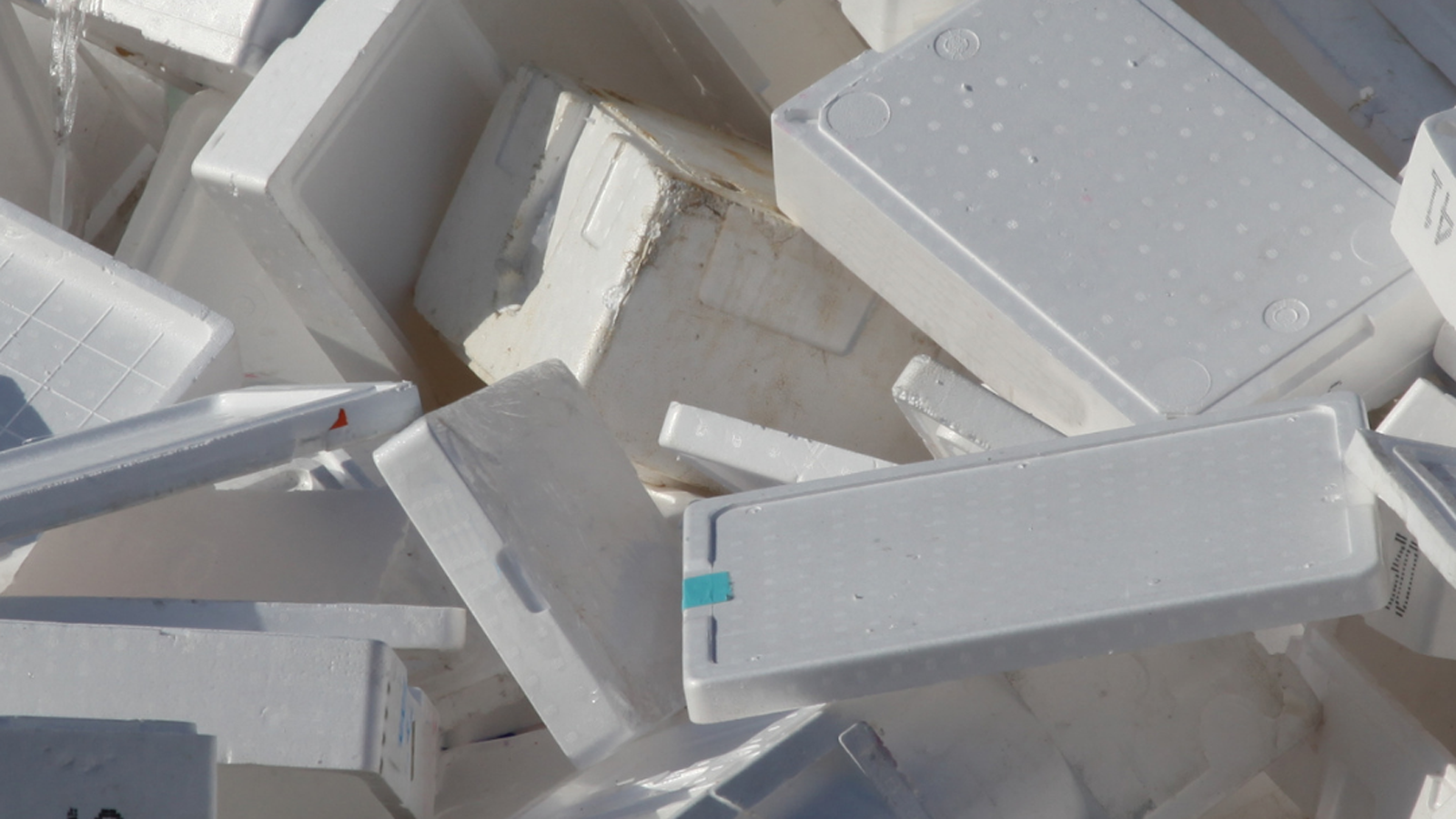 Styrofoam recycling Tempe 2024 center...