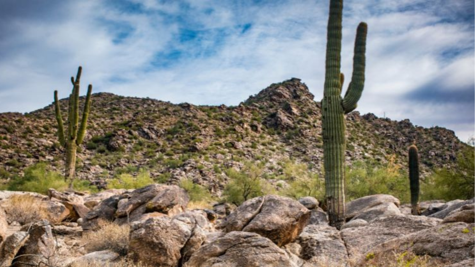 The city of Phoenix Parks Board added all trails at South Mountain Park and Preserve to the Phoenix...