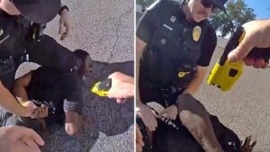 Here's what Phoenix leaders are saying about police behavior during arrest of Tyron McAlpin