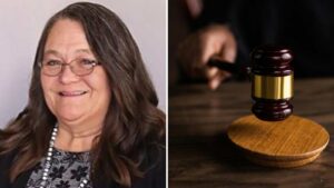 Republican Arizona county official pleads guilty in election interference case