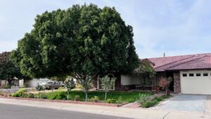 Arizona Broadway Theatre buys residence to house performers