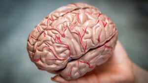 Phoenix research center awarded $74.5M to study Alzheimer's prevention