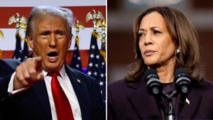 Donald Trump projected over Kamala Harris in race for president in Arizona