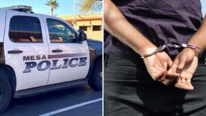 Man charged with attempted murder after allegedly strangling case worker in Mesa