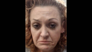 Mesa woman accused of torturing, killing multiple dogs in disturbing animal cruelty case