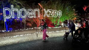ZooLights: What you need to know about the 2024-25 Phoenix Zoo holiday spectacle