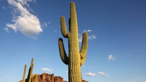 Phoenix breaks 74-year-old daily heat record a week before Christmas