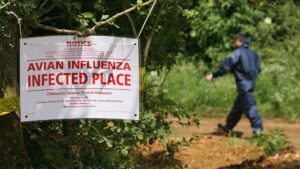 Valley zoo takes action after bird flu detected in several animals