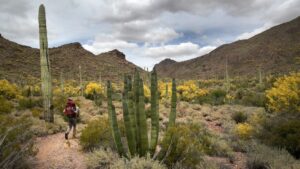 Phoenix woman sentenced to 33 months in prison for role in human smuggling operations