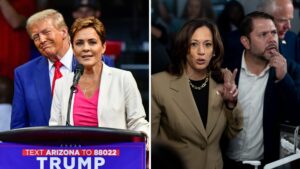 Here's why Arizona voters preferred Donald Trump and Ruben Gallego over Kamala Harris, Kari Lake