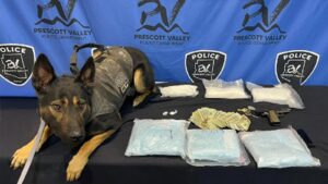 Very good boy sniffs out fentanyl, other drugs during traffic stop in Arizona