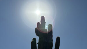 Phoenix-area temperatures expected to stay above normal this week, possibly break record