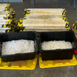 Phoenix drug bust