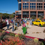 20240127 - Tempe Blooms - Tempe, Ariz. - guests walk through flower displays