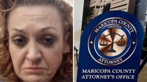 County prosecutors opt not to pursue case against Mesa woman accused of torturing, killing dogs