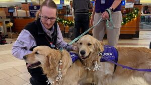 Sky Harbor celebrating 90th anniversary with live music, exhibitions, activities, dog parades, more