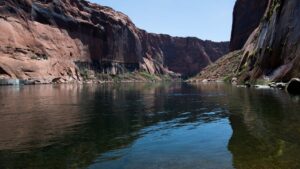 Arizona GFD, partners awarded nearly $25 million for Colorado River Basin restoration