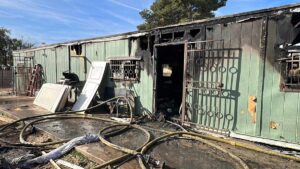 Multiple dogs, including litter of puppies, perish in Phoenix mobile home fire