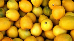St. Mary’s Food Bank accepting citrus donations through April 30